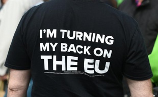 Un militant pour le Brexit à Birmingham le 31 mai 2016