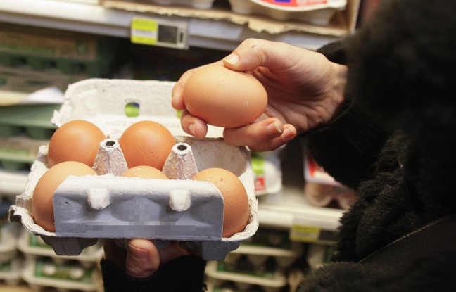 Salmonelles : Leclerc et d'autres enseignes rappellent des boîtes d'oeufs