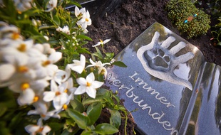 Un caveau commun homme-animal au cimetière de Braubach, en Allemagne.