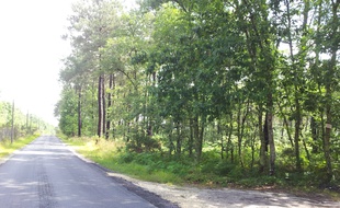 Le site prévu pour l'installation de la carrière à Saint-Médard-en-Jalles.