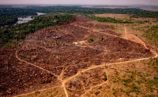 Dans un secteur de l'Etat du Mato Grosso, à l'été 2019.