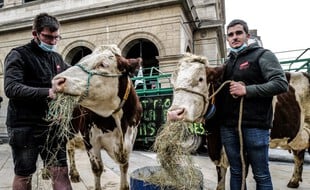 Les agriculteurs ont manifesté lundi pour dénoncer les menus sans viande dans les cantines scolaires de Lyon.