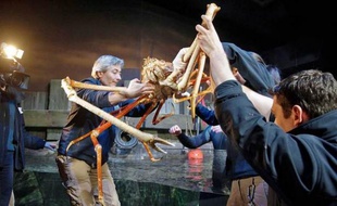 Ce crabe géant avait été pêché en 2010 dans le Pacifique