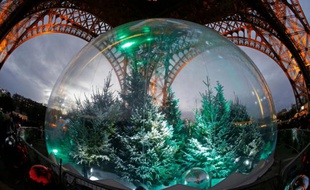 Des sapins sous la Tour Eiffel à Paris le 20 décembre 2014