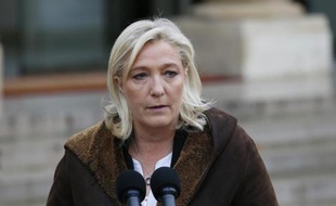 La présidente du Front National Marine Le Pen s'exprime devant la presse le 9 janvier 2015 après son entrevue à l'Elysée avec François Hollande