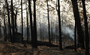 L'Australie enregistrait mercredi une nette accalmie sur le front des feux de brousse grâce à la chute des températures, mais une trentaine d'incendies menaçaient toujours dans l'Etat le plus peuplé du pays, la Nouvelle-Galles du Sud.
