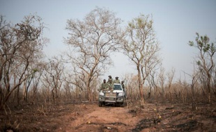 Des rangers parcourent le parc national Yankari , dans le nord-est du Nigeria à la recherche de traces de lions, le 7 mars 2016