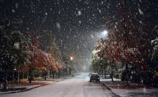 Les premiers flocons de neige tombés en novembre 2019, dans l'Est de la France.