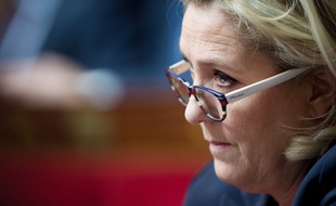 Marine Le Pen, présidente du RN, le 13 février 2019 à Paris.