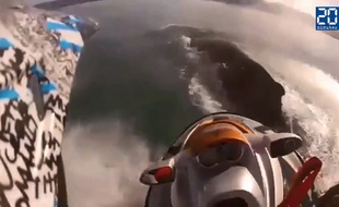 Il percute une baleine à bosse en jet-ski.