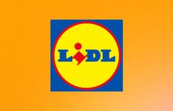 Déstockage Lidl ? Profitez d’offres Parkside totalement dingues