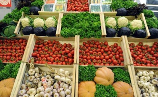 Un étalage de légumes et salades