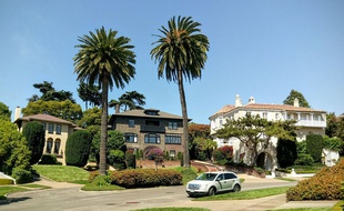 Presidio Terrace est une ruehuppées de San Francisco.