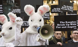 Une manifestation de la Peta devant une boutique The Kooples à Londres le 29 octobre 2015.