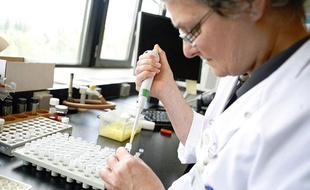 Un scientifique belge travaille sur la bactérie NDM-1 dans son laboratoire de l'université d'Anvers (Belgique), le vendredi 13 août 2010