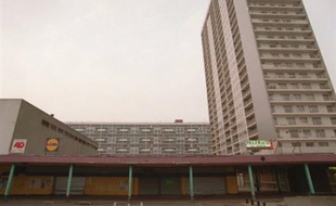 Une femme de 26 ans et sa fille de 5 ans ont été retrouvées pendues jeudi matin dans le parc de La Courneuve (Seine-Saint-Denis), a-t-on appris de source judiciaire pour qui le suicide ne fait pas de doute.