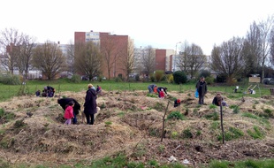 Les bénévoles de l'association «Les Jardins partagés du Grand Cerf» prépare le terrain.