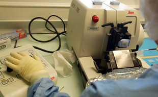 Dans un laboratoire travaillant sur le prion. Iluustration.