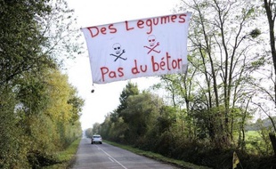 Onze organisations nationales dont Greenpeace, Les Amis de la Terre, Réseau action climat, la Condéfération paysanne ou Attac ont interpellé jeudi Jean-Marc Ayrault au sujet du projet d'un nouvel aéroport à Nantes et dénoncé la "brutalité" des expulsions en cours.