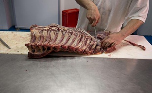 Découpe de viande de cheval.