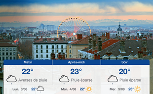 Météo Lyon: Prévisions du dimanche 2 août 2020