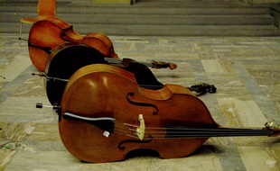 Des instruments de musique.