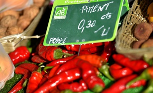 Des piments bio vendus sur le marché à Nantes.