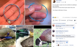 Le post Facebook viral sur la protection des oiseaux.