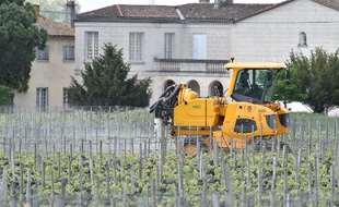 Un agriculteur épand un produit phytosanitaire dans ses vignes pour se prémunir des maladies, près de Saint-Emilion (Gironde), le 26 avril 2018.