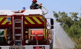 Illustration intervention pompiers sur un feu de forêt.