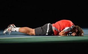 David Ferrer a remporté à Paris son premier Masters 1000 et est devenu le premier Espagnol à s'imposer à Bercy, en mettant fin dimanche à l'épopée de l'inconnu polonais Jerzy Janowicz lors d'une édition 2012 minée par les défaillances des ténors.