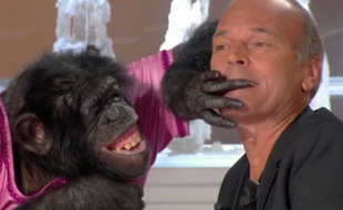 Extrait de «Salut les Terriens», avec Laurent Baffie et un chimpanzé (normal)
