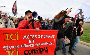 Des manifestants anticorrida à Rodilhan, dans le Gard, le 16 octobre 2016.