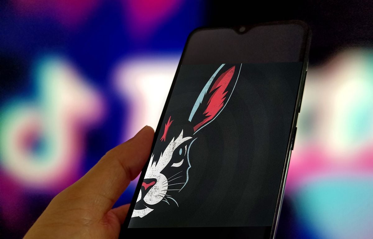 TikTok : Des vidéos sur le suicide en quelques heures... Amnesty pointe les risques de l'appli pour la santé mentale des ados
