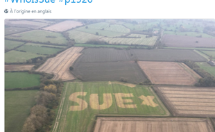 L'agriculteur a écrit son message à l'aide de désherbant.