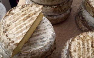 Photo illustration d'un fromage de fabrication artisanale dans l Auvergne. Bourgoin jallieu le 10/10/2015 :