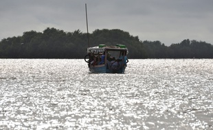 Un bateau sur le golfe de Guinée, illustration