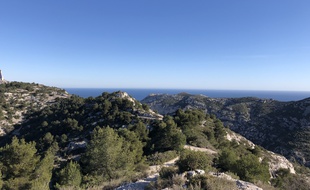 Sur les hauts de Luminy, à Marseille, le panorama sur la mer est imprenable
