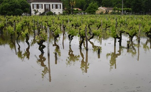 La Métropole bordelaise veut réviser son plan de prévention des inondations, le dernier voté il y a peu étant déjà obsolète.