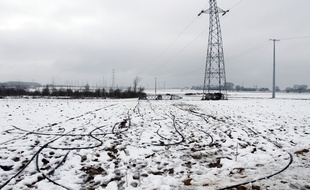 Quelque 33.000 foyers sont encore privés d'électricité en Rhône-Alpes après les premières chutes de neige, jeudi 14 novembre 2019.