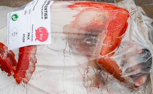 Des associations de protection des animaux manifestent pour la semaine sans viande. 23/05/2012 Toulouse