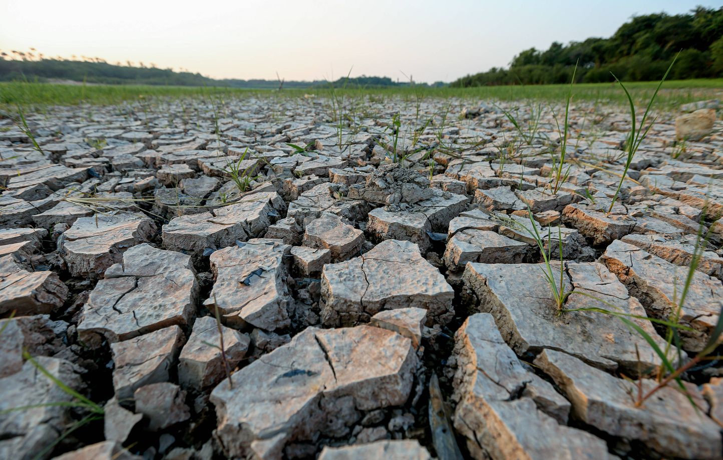 Après les inondations du mois dernier, plusieurs régions du Brésil sont sous la menace d'une sécheresse sévère.