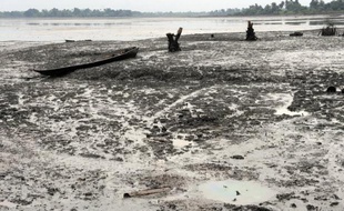 Les avocats représentant plus de 11.000 Nigérians ont déposé plainte vendredi à Londres contre le géant pétrolier anglo-néerlandais Shell après la rupture des négociations visant à indemniser les pollutions entraînées par deux fuites de pétrole dans le delta du Niger.