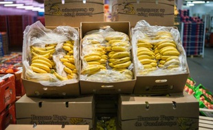 Des bananes produites en Guadeloupe, vendues au marché de Rungis près de Paris, le 23 décembre 2014