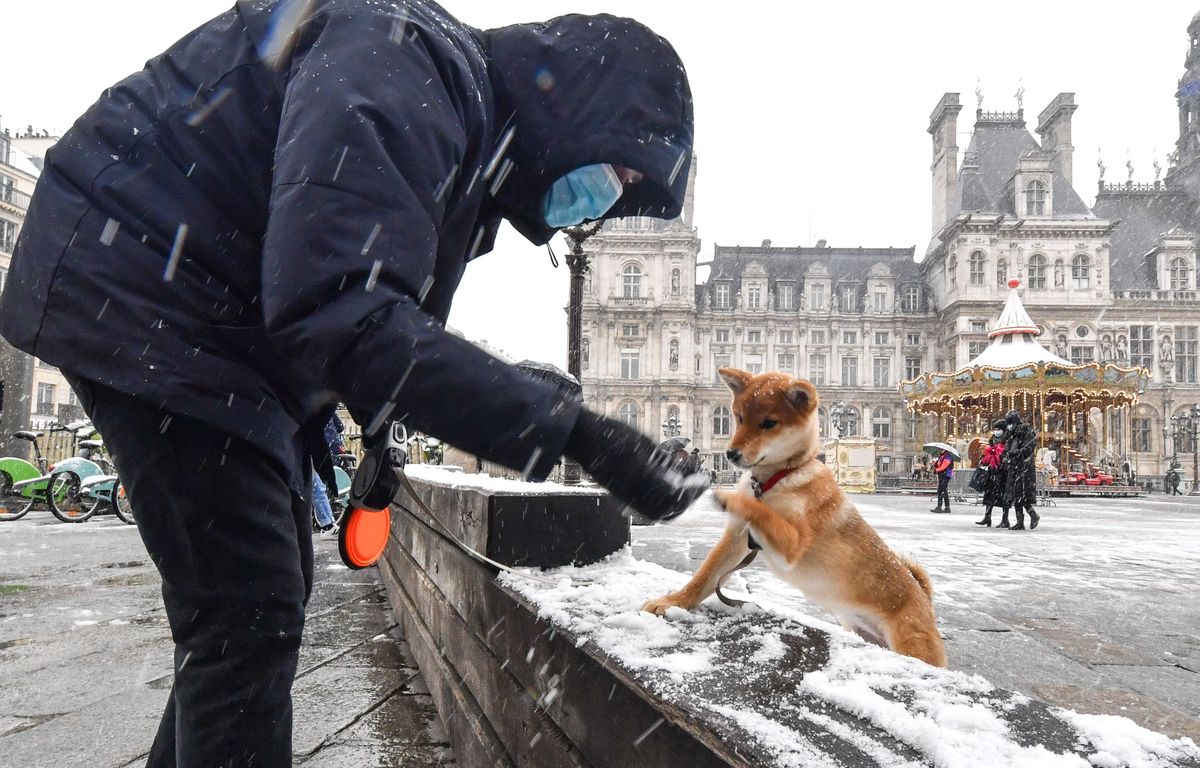 Météo : Les chiens souffrent-ils du froid et ont-ils besoin d'un manteau ?