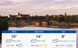 Météo Toulouse: Prévisions du dimanche 8 décembre 2019