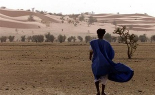 Près de vingt tour-opérateurs français ont décidé de maintenir leurs voyages en Mauritanie, dans un communiqué reçu samedi à Nouakchott, en affirmant ne pas comprendre "la prise de position" de la France qui a "fortement déconseillé" cette destination jeudi.istes.