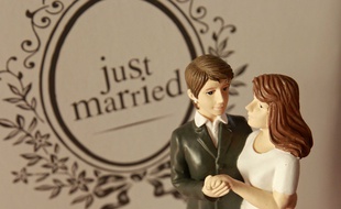 Lille, le 25 novembre 2012. Illustration sur le mariage au salon du mariage et du PACS a Lille Grand Palais