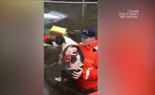 Des secouristes sauvent des chiens victimes de l'ouragan Florence