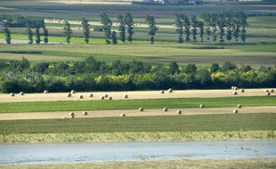 La mise sur le marché des pesticides et phytosanitaires change de mains et dépendra désormais de l'Agence de sécurité sanitaire, et non plus du ministère de l'Agriculture